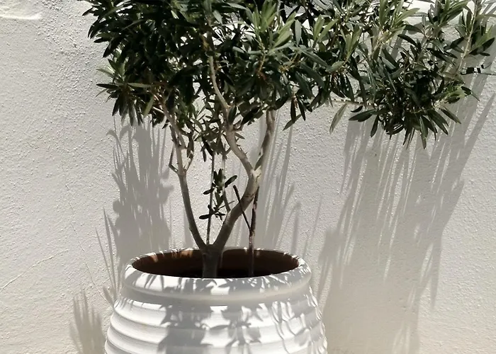 Апарт-отель Sigma On The Naxos City